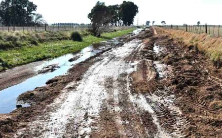 GOLPE JUDICIAL A LA DESIDIA MUNICIPAL EN  CAMINOS RURALES