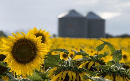 RÉCORD DE EXPORTACIONES DE LA AGROINDUSTRIA
