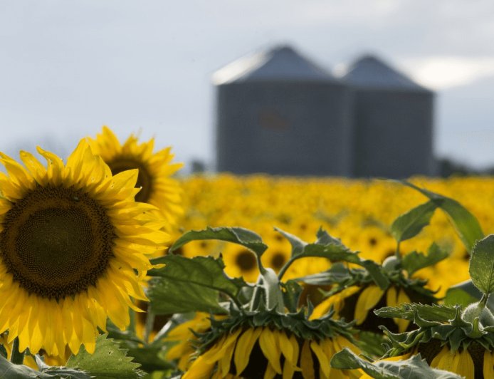 RÉCORD DE EXPORTACIONES DE LA AGROINDUSTRIA