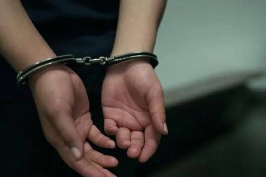 JUSTICIA PENAL JUVENIL: COMIENZA UNA NUEVA ETAPA. En qué consiste?