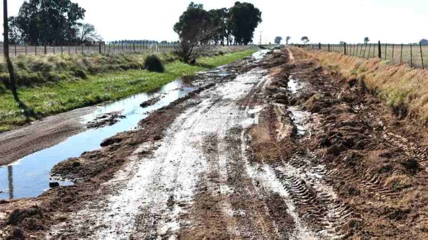 GOLPE JUDICIAL A LA DESIDIA MUNICIPAL EN  CAMINOS RURALES