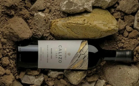CUÁNTO CUESTA EL VINO ARGENTINO ELGIDO COMO EL MEJOR DEL MUNDO