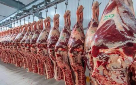 DESPUÉS DE 20 AÑOS, JAPÓN VUELVE  A COMPRAR CARNE ARGENTINA