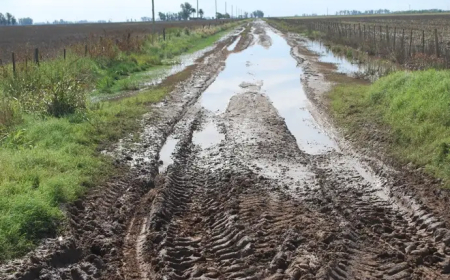 PBA: TASA VIAL A LA JUSTICIA. El campo pone en aprietos a municipios en crisis .