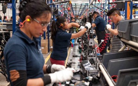 SEGÚN UN INFORME DE LA UBA- CONICET VAN  14 MESES DE CAÍDA DEL EMPLEO FORMAL