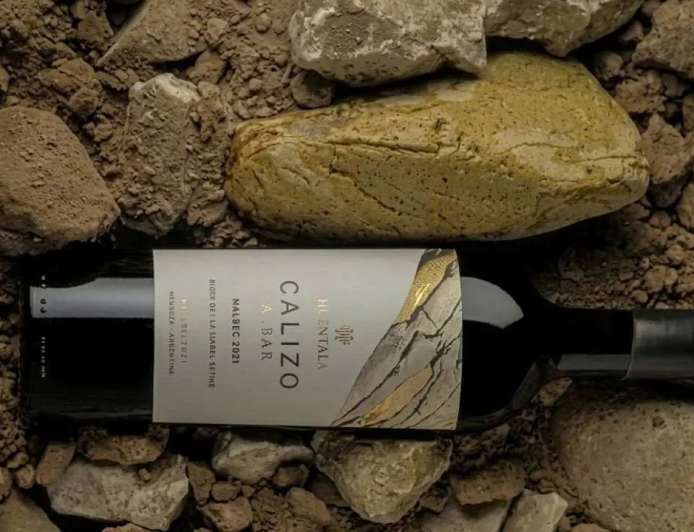 CUÁNTO CUESTA EL VINO ARGENTINO ELGIDO COMO EL MEJOR DEL MUNDO