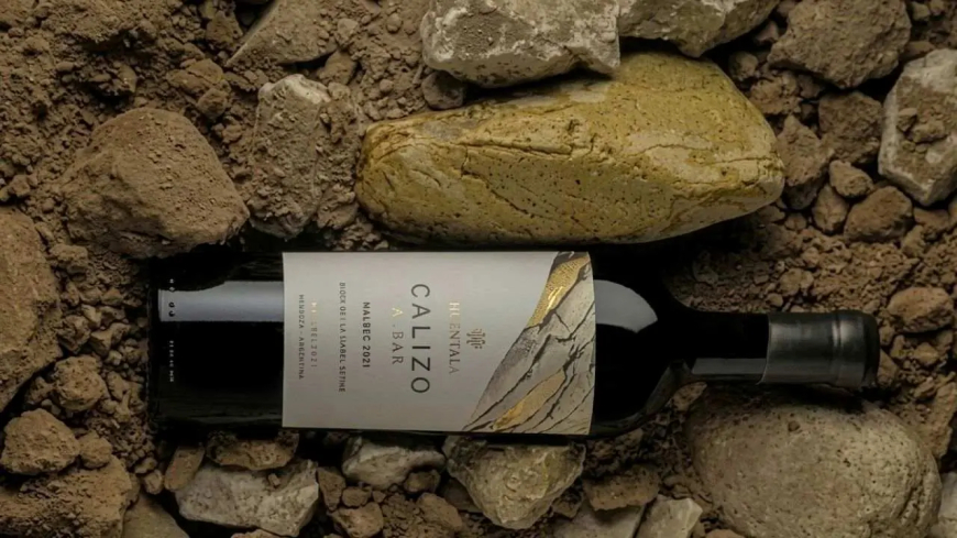 CUÁNTO CUESTA EL VINO ARGENTINO ELGIDO COMO EL MEJOR DEL MUNDO