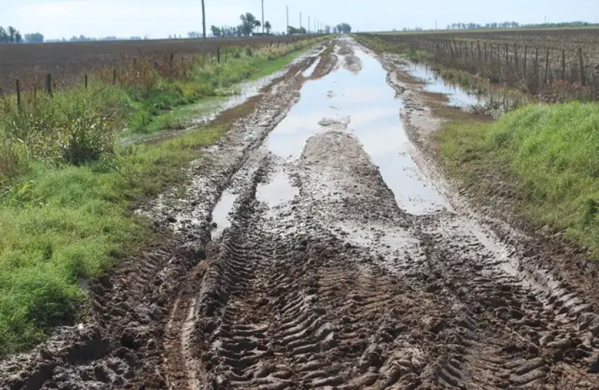 PBA: TASA VIAL A LA JUSTICIA. El campo pone en aprietos a municipios en crisis .
